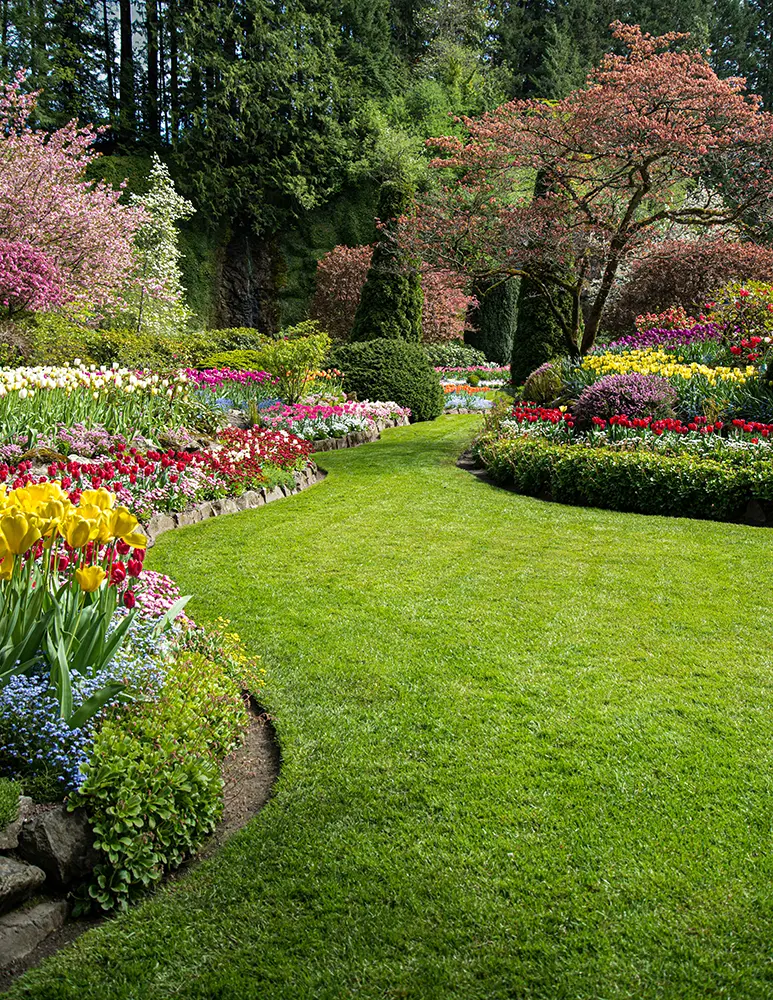 Entretien de parcs et jardins à Tours Fondettes, Flor et Deco