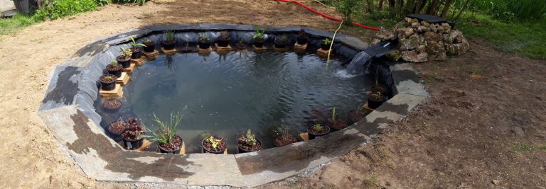 conception bassin enterré beaumont la ronce flor & deco